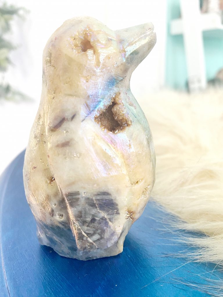 Alsephina the aura penguin
